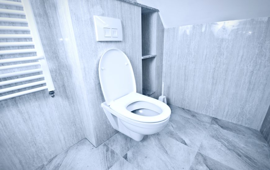 Choosing the right toilet is vital! Choosing the right toilet is vital!