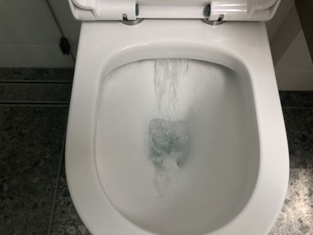 FAQS About Rimless Toilet Ross's Discount Home Centre