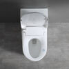 smart-toilet-seat-installed smart toilet seat installed