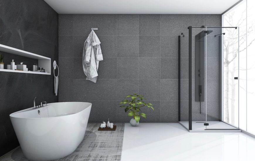 Shower Screens Pivot Door vs Normal Hinge? Which is Best? Ross's