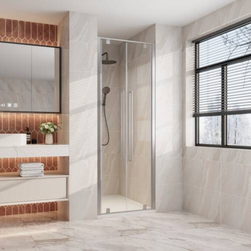 Alpine Double Pivot Shower Door Silver