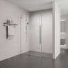 Alpine Frameless Centre Pivot Shower Door