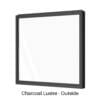 Single Fixed Panel Window Charcoal Lustre Outside