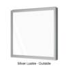 Single Fixed Panel Window Silver Lustre Outside