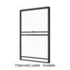 Single Double-Hung Window Charcoal Lustre Outside