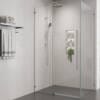 Alpine Frameless Pivot Door & Return