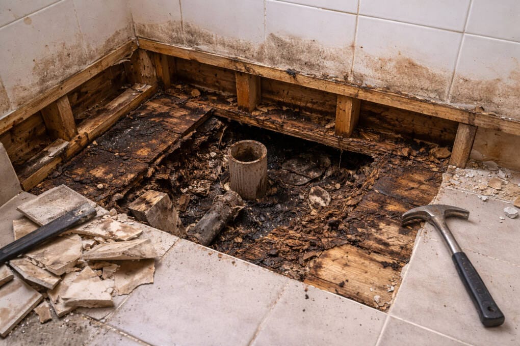 Rotted timber subfloor exposed during bathroom demolition due to waterproofing failure